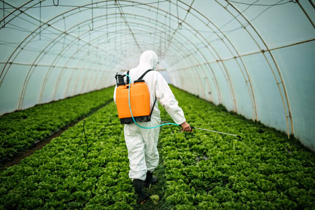 Professional Pest Control in Williamsburg, OH