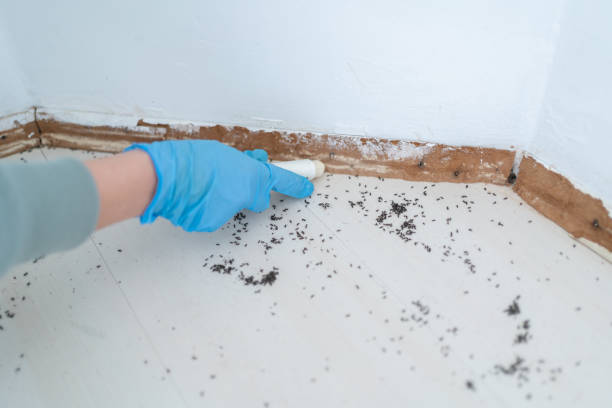 Best Commercial Pest Control Services  in Williamsburg, OH