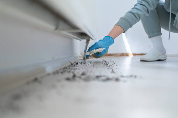 Best Best Pest Control Companies  in Williamsburg, OH